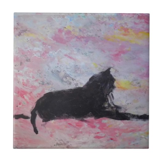 Carreaux en céramique (Devant)