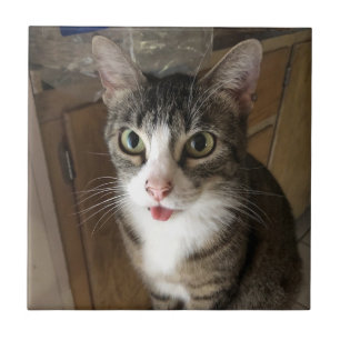 Carreaux en céramique