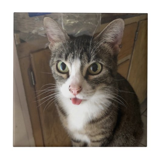 Carreaux en céramique (Devant)