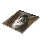 Carreaux en céramique (Côté)