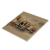 Carreaux en céramique (Côté)