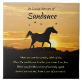 Carreaux en céramique (Devant)