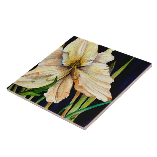 Carreaux en céramique blanche (Côté)