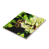 Carreaux en céramique Bumble Bee (Côté)