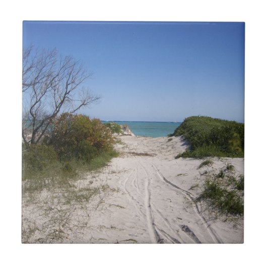 Carreaux en céramique Cervantes WA (Devant)