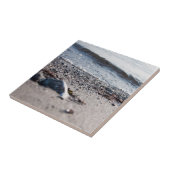 Carreaux en céramique de plage (Côté)