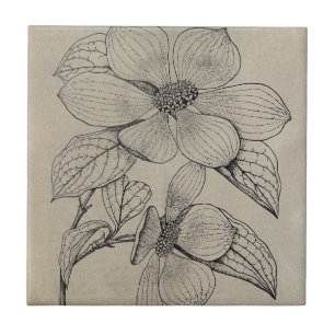 Carreaux en céramique Dogwood
