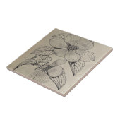 Carreaux en céramique Dogwood (Côté)