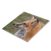 Carreaux en céramique du profil Fox (Côté)