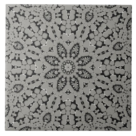 Carreaux en céramique gris (Devant)