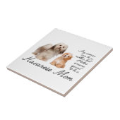 Carreaux en céramique Havanais (Côté)