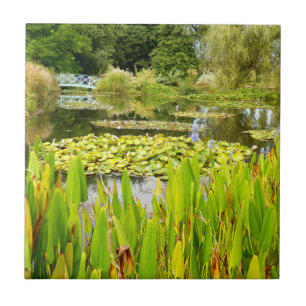 Carreaux en céramique Lily Pond