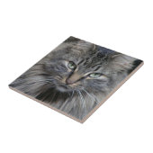 Carreaux en céramique Maine Coon Kitty Cat (Côté)