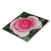 Carreaux en céramique rose (Côté)