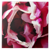 Carreaux en céramique rose et rose blanche (Devant)