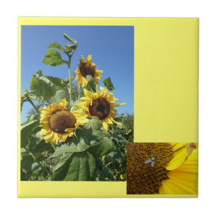 Carreaux en céramique tournesols