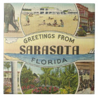 Carreaux en céramique vintage Sarasota