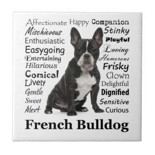 Carreaux Frenchie Traits