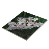Carreaux Hyacinths (Côté)