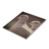 Carreaux Inséparables (Côté)