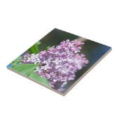 Carreaux Lavender Lilacs (Côté)