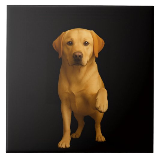 Carreaux Noir 4 Luxe avec Labrador tendre (Devant)