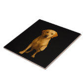 Carreaux Noir 4 Luxe avec Labrador tendre (Côté)