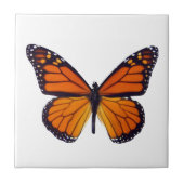 Carreaux papillon orange (Devant)