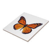 Carreaux papillon orange (Côté)