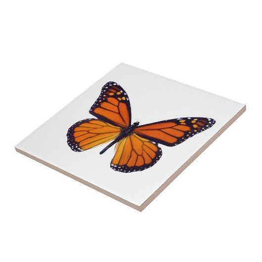 Carreaux papillon orange (Côté)