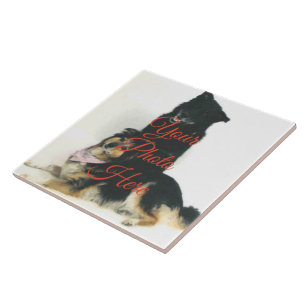 Carreaux photo en céramique personnalisée - 2 tail