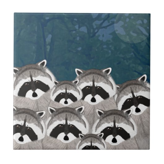 Carreaux Raccoons (Devant)