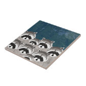 Carreaux Raccoons (Côté)