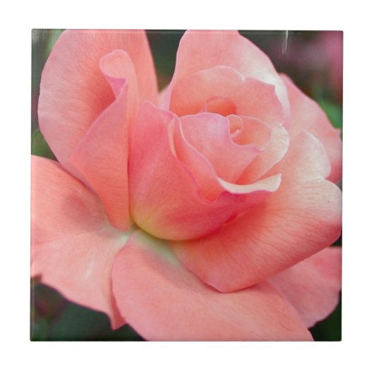 Carreaux rose (Devant)