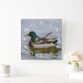 Carrée Baignade Mallard Baignade Mur Horloge (Maison)