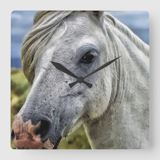 Carrée Belle horloge à cheval gris (Recto)