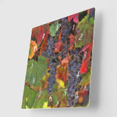 Carrée Belle horloge de campagne viticole (Angle)