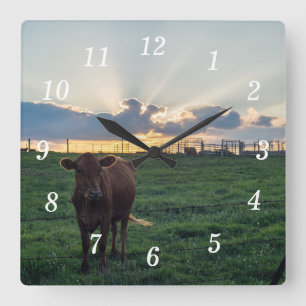 Carrée Cattle Farm Sunset Wall Horloge
