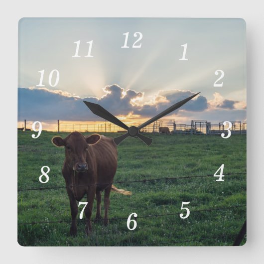Carrée Cattle Farm Sunset Wall Horloge (Recto)