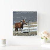 Carrée Cheval Belge En Paddock Horloge Mur (Maison)