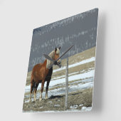 Carrée Cheval Belge En Paddock Horloge Mur (Angle)