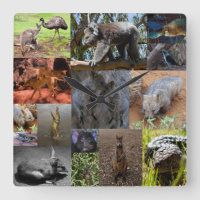 Collage de photos d'animaux australiens, Horloge m