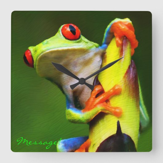 Carrée Frog 2 Horloge Avec Options (Recto)