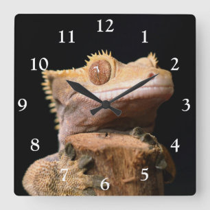 Carrée Gecko en crête sur Black Large Horloge