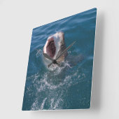 Carrée Grande horloge de requin blanc (Angle)
