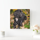 Carrée Horloge (Maison)