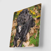 Carrée Horloge (Angle)