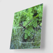 Carrée Horloge à herbe (Angle)