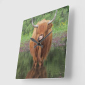 Carrée Horloge à la vache Highland (Angle)