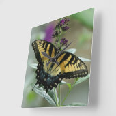 Carrée Horloge à papillon Swallowtail (Angle)